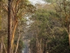 ek2008002
