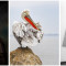 Three Perfect Scores Earned in our November Competition!